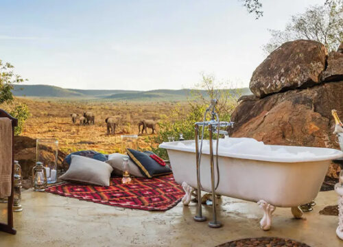 14 Day Serengeti Honeymoon Big Cats Safari