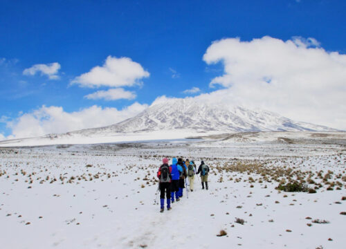 7 Day Rongai Route Mount Kilimanjaro Trekking