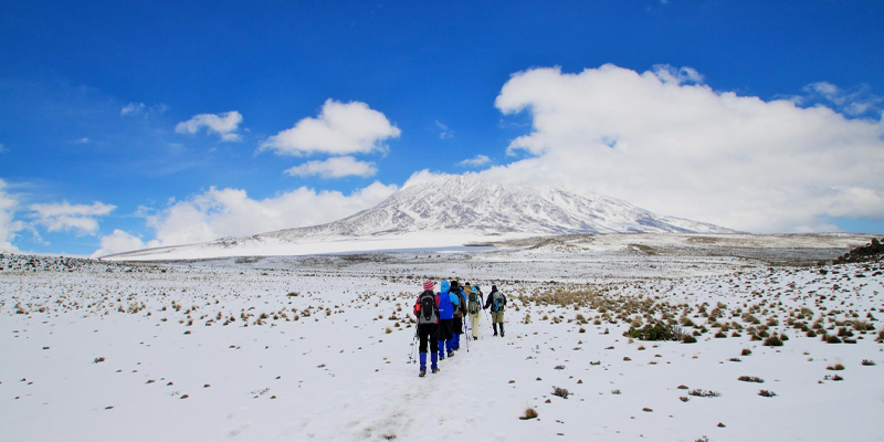 7 Day Rongai Route Mount Kilimanjaro Trekking