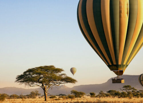 1 Day Ballon Safari Flying High Above The Serengeti