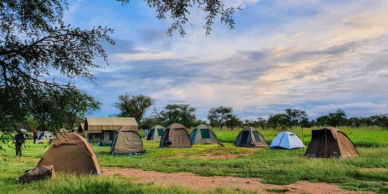 7 Day Tanzania Budget Camping Safari