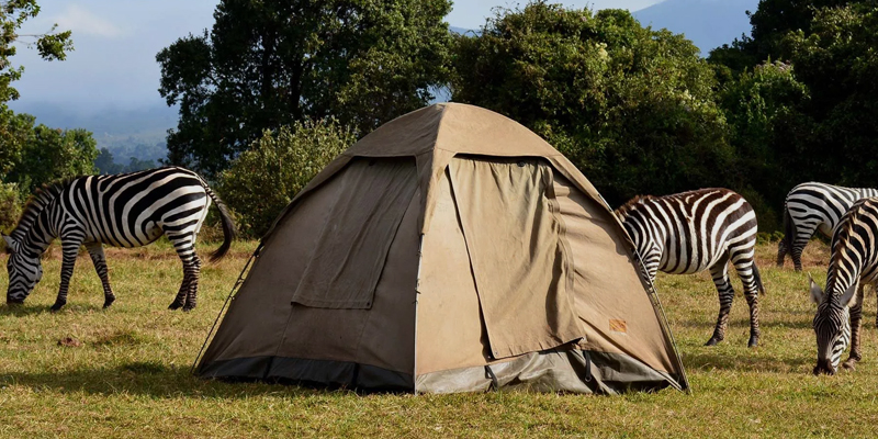 5 Day Tanzania Budget Camping Safari