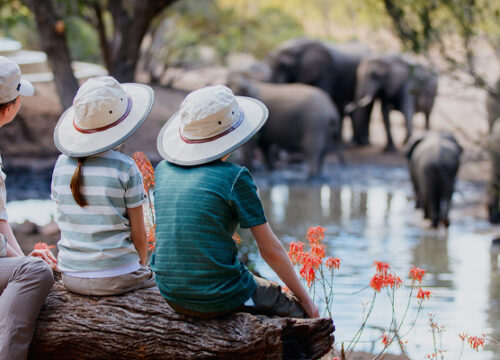4 Day Tanzania Family Safari