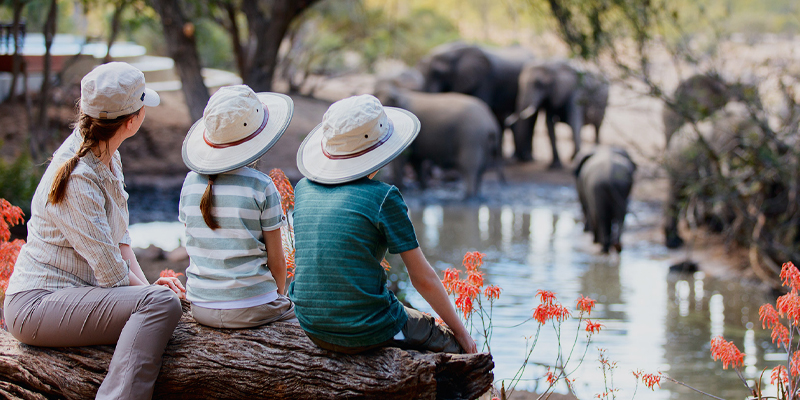 4 Day Tanzania Family Safari