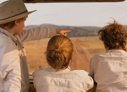 7 Day Tanzania Family Safari